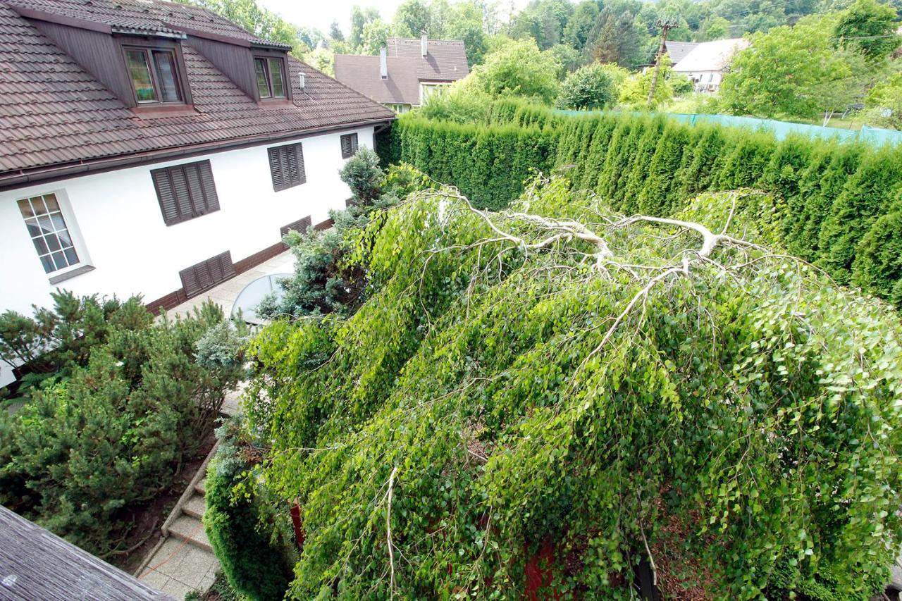 Vily Jedličí Villa Frýdlant nad Ostravicí Exterior foto